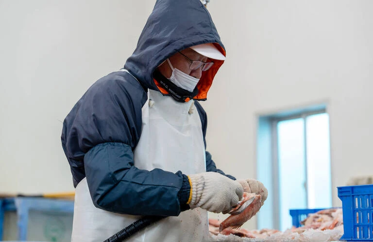 小ロットから対応 | 宮城県石巻市の魚加工なら株式会社カネセ及川水産
